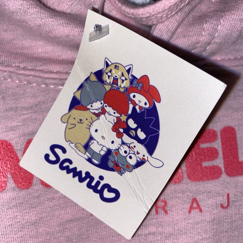 Hello Kitty Sanrio Europe Special Edition 45 Anniversary Melody Kuromi Harajuku - Picture 8 of 10